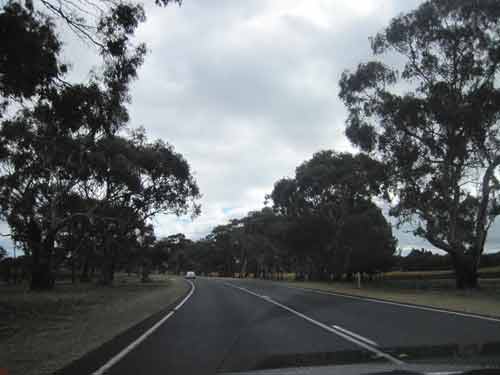 The Road To Kangaroo Island.
