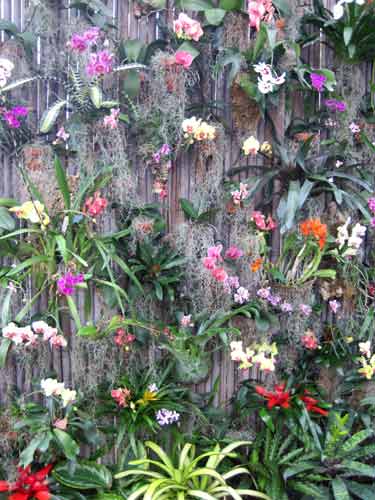 Orchid Oasis at Toronto Zoo.