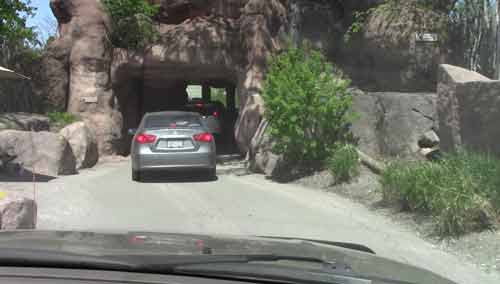 Scenic Safari At The Toronto Zoo.