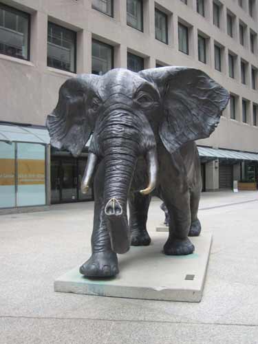 Tembo Mother of Elephants Commerce Court Toronto